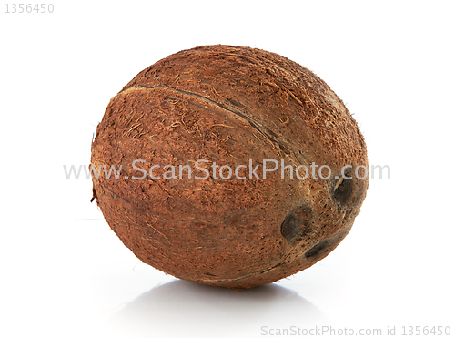 Image of coconut