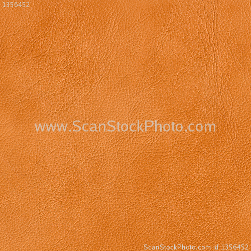 Image of genuine leather