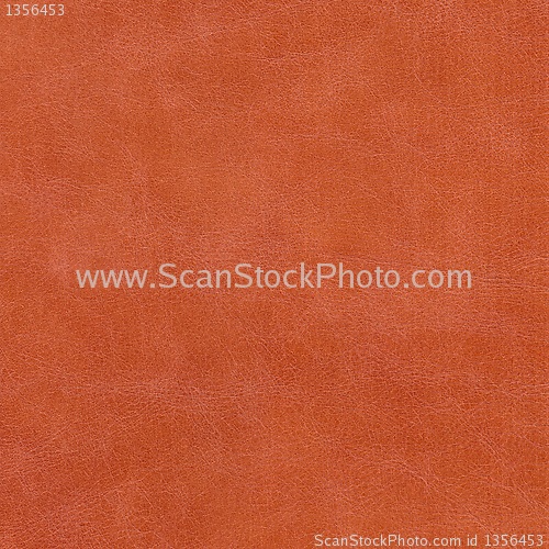 Image of genuine leather