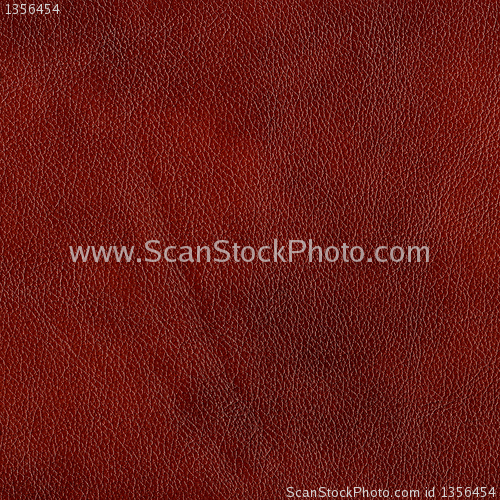 Image of leather