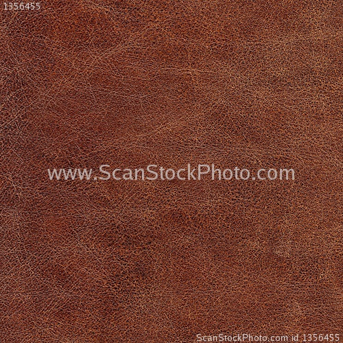 Image of leather