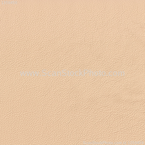 Image of leather