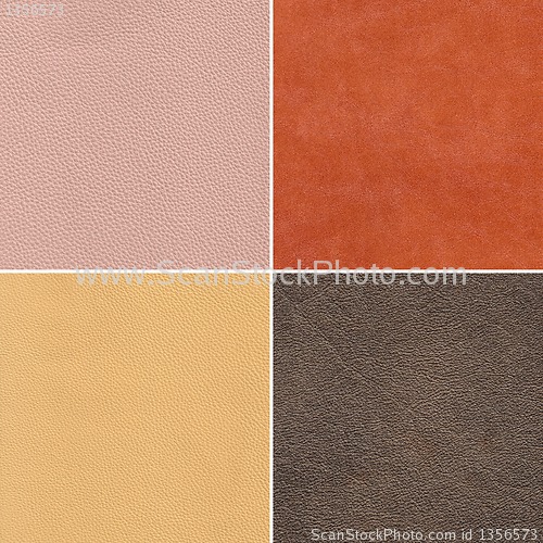 Image of samples of leather