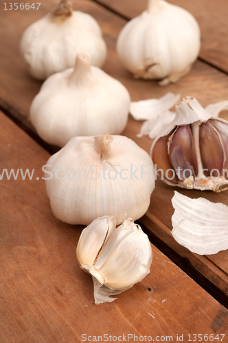 Image of Garlic