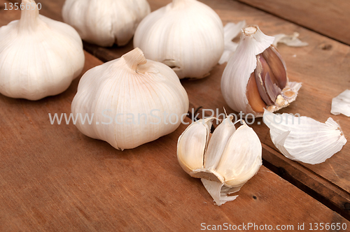 Image of Garlic