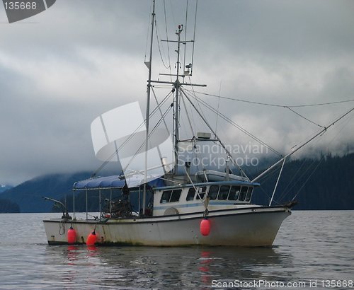 Image of Salmon Fishing