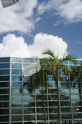 Image of Tropical Business