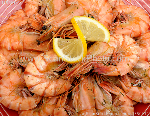 Image of Tiger prawns