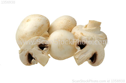 Image of champignon on a white