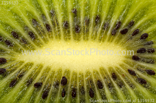 Image of background of the slice kiwi