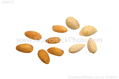 Image of almonds on white