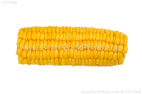 Image of corn on the cob