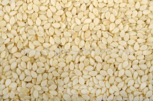 Image of sesame seeds