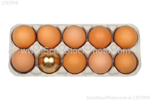 Image of eggs, golden egg