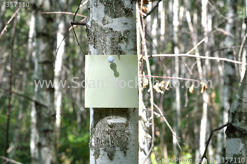 Image of Reminder notes