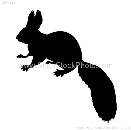 Image of vector drawing