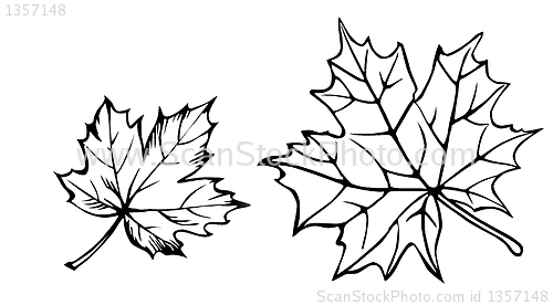 Image of vector drawing