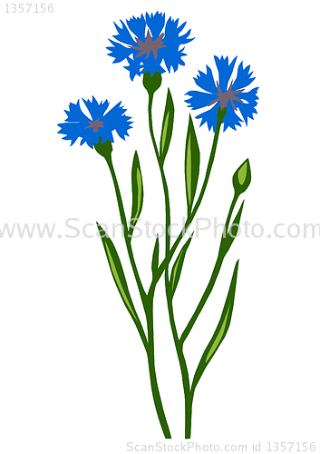 Image of vector drawing