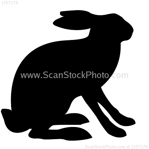 Image of vector drawing