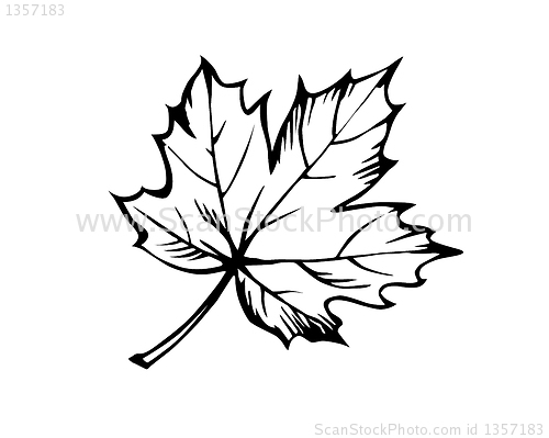 Image of vector drawing