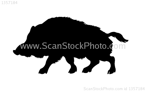 Image of vector drawing