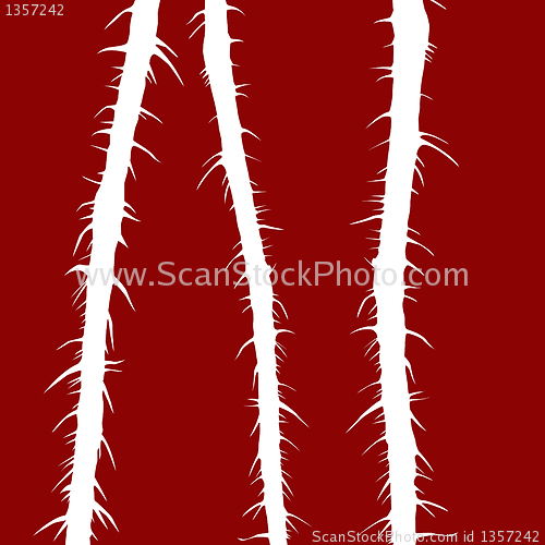 Image of vector drawing