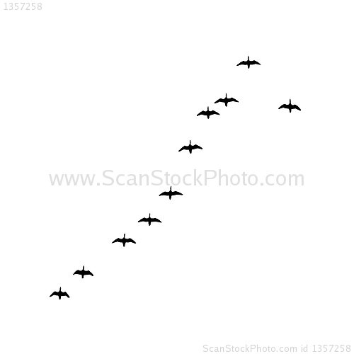 Image of vector drawing