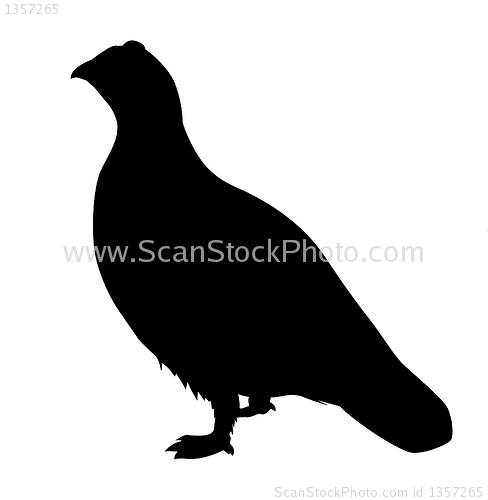 Image of vector drawing