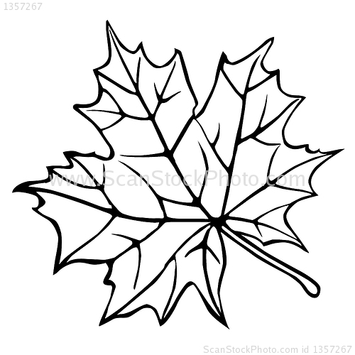 Image of vector drawing