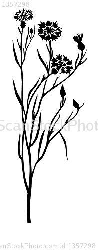 Image of vector drawing