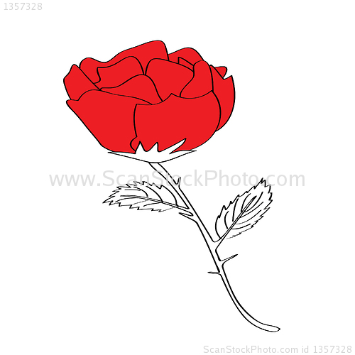 Image of valentine rose