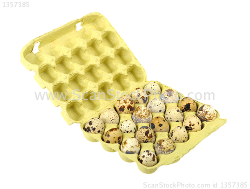 Image of quail eggs