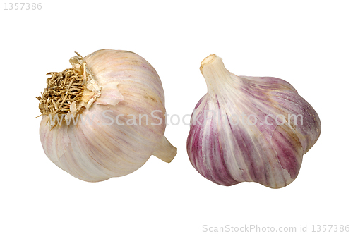 Image of garlic isolated on white background