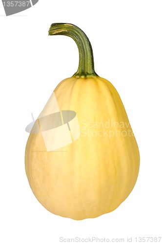 Image of pumpkin on a white