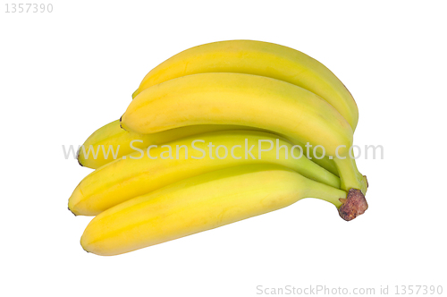 Image of bunch of bananas