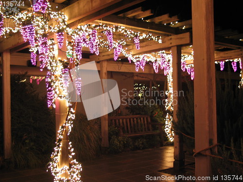 Image of Grape Arbor of Lights