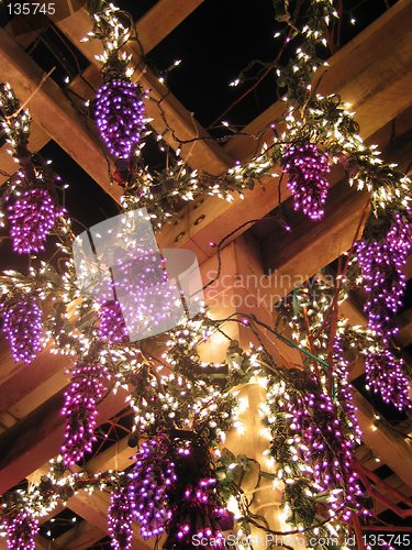 Image of Grape Vine Lights