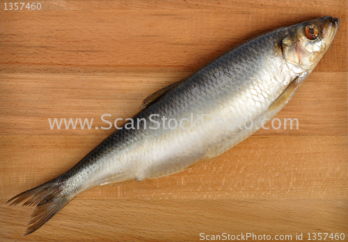 Image of herring