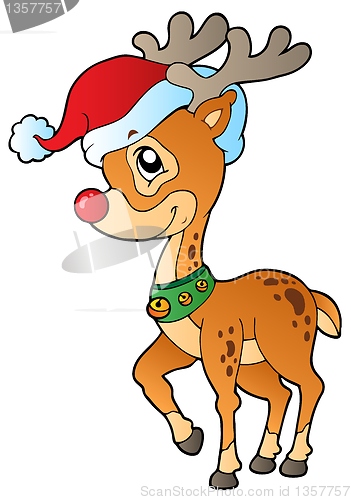 Image of Deer with Christmas cap 1