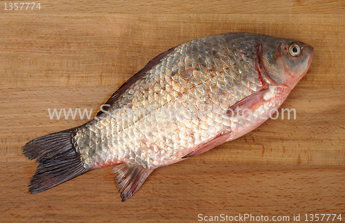 Image of crucian on a wooden background