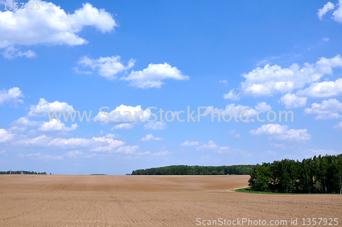 Image of summer landscape