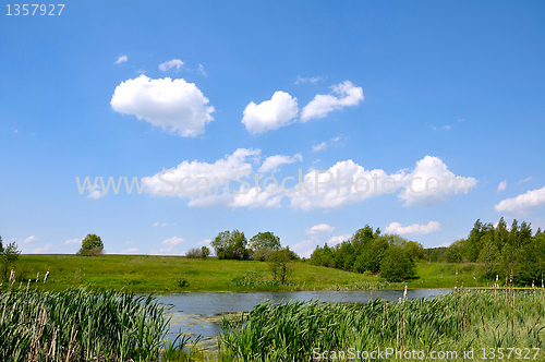 Image of summer landscape