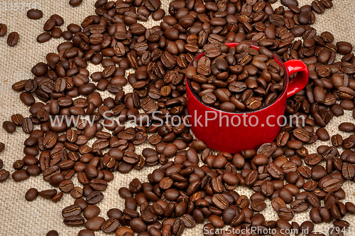 Image of coffee in a cup