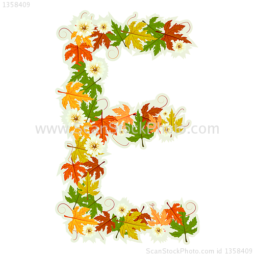 Image of Pattern floral letter E