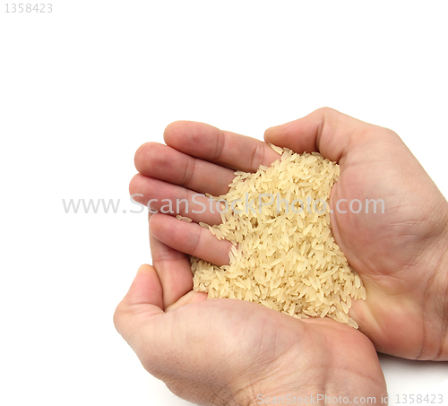 Image of feed the world