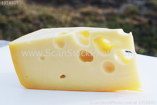 Image of piece of swiss cheese with holes