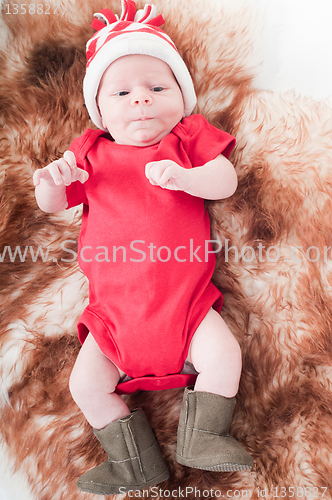 Image of Newborn baby in chritstmas hat