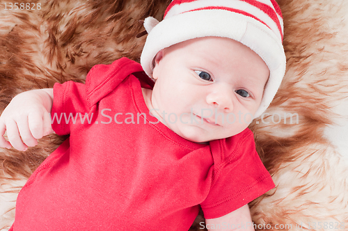 Image of Newborn baby in chritstmas hat