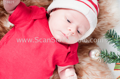 Image of Newborn baby in chritstmas hat