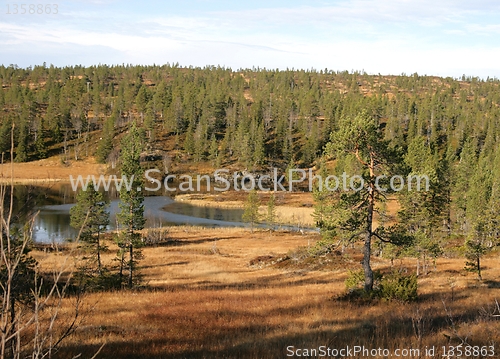 Image of Tarn in mountain area